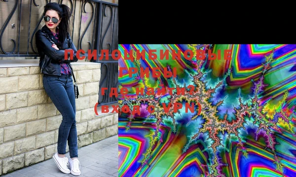 круглые Алзамай