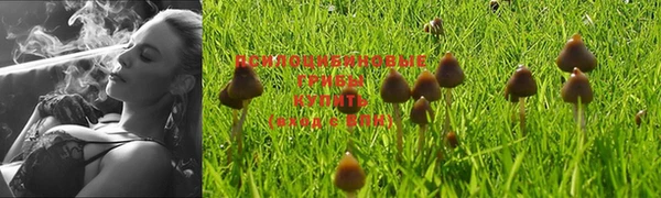 марки lsd Алексеевка