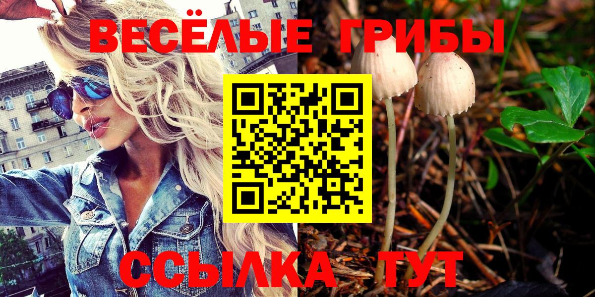 где найти наркотики  Псилоцибиновые грибы мицелий  Псилоцибиновые грибы Psilocybe  Вход с VPN  Одинцово 